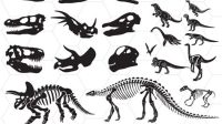 Dinosaur Bones SVG Dinosaur Bones SVG: A Comprehensive Guide To Prehistoric Art And Education