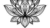 Lotus Flower Mandala SVG