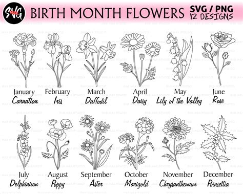 Birth Month Flower SVG