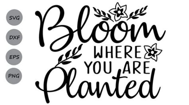 Bloom Where You Are Planted SVG