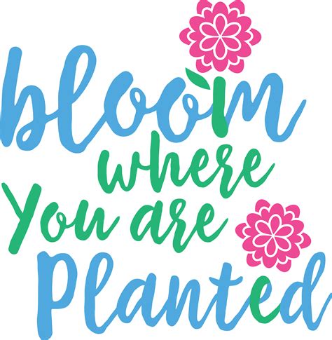 Bloom Where Youre Planted SVG