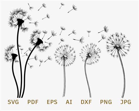 Dandelion ‪SVG