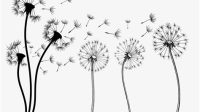 Dandelion Flower SVG