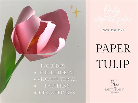 3d Tulip SVG