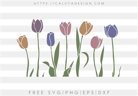 Free Tulip SVG