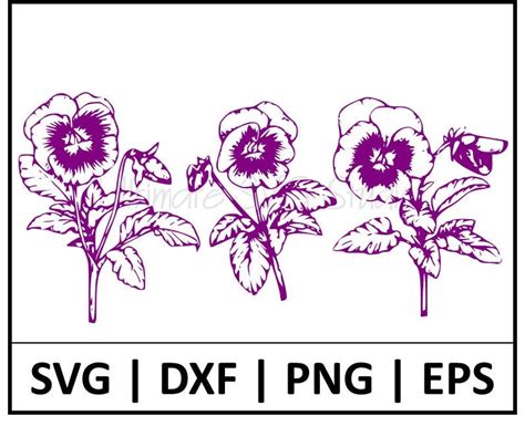 Violet SVG Free