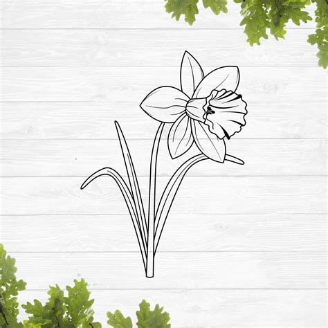 Daffodil Flower SVG