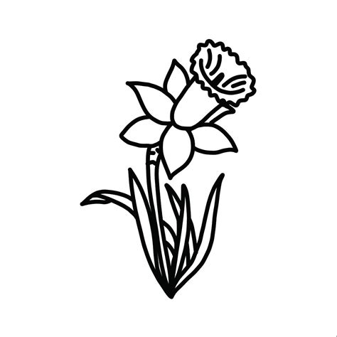 Daffodil SVG