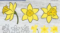 Daffodil SVG File