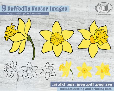 Daffodil SVG File