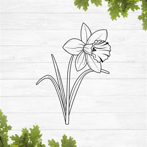 Daffodil SVG Free‪‬