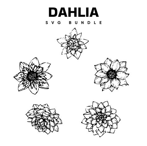 Dahlia SVG Free