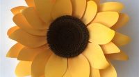 Paper Sunflower Template Cricut