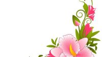 Floral SVG Border Free