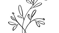 Floral Line Art SVG