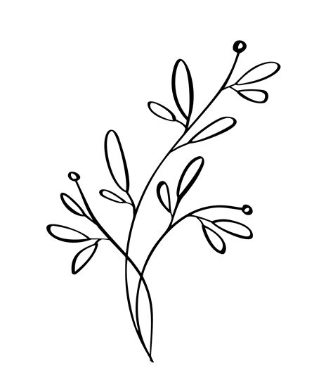 Floral Line Art SVG