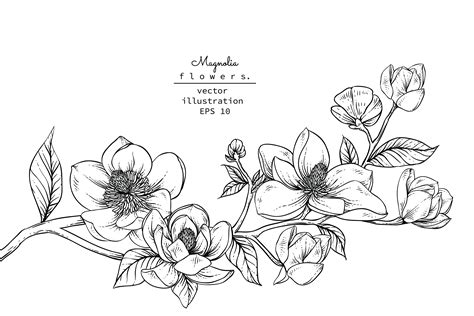 Flower Line Drawing SVG