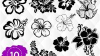 Hawaiian Flower SVG Free