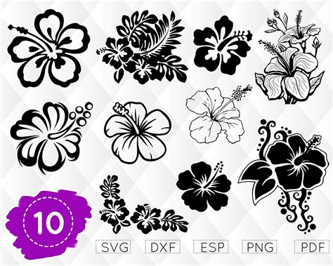 Hawaiian Flower SVG Free