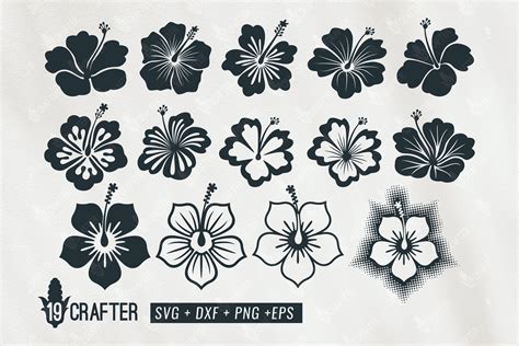 Hibiscus Flower SVG