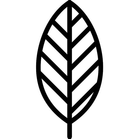 Leaf SVG ‪SVG