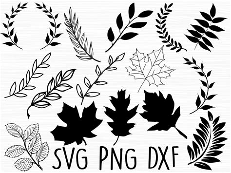 Floral Leaf SVG