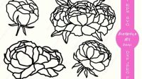 Peony Flower SVG‪