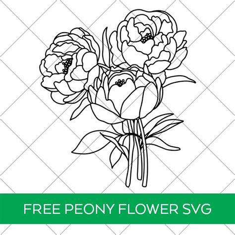 Free Peony SVG File