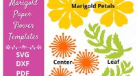 Free Marigold SVG