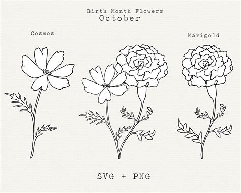 Marigold Flower SVG