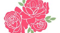 Rose Flowers SVG