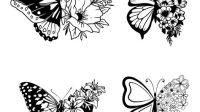 Half Butterfly Half Flower SVG