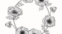 Anemone Flower SVG