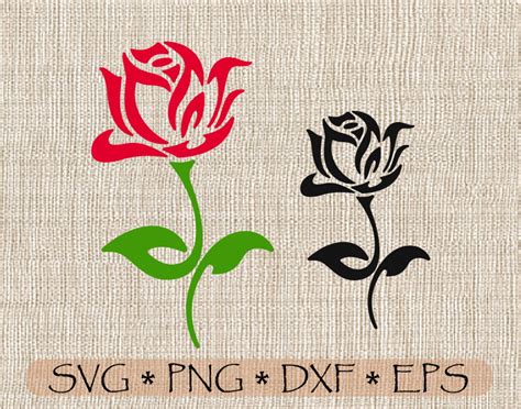 Belle Rose SVG