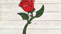 Enchanted Rose SVG