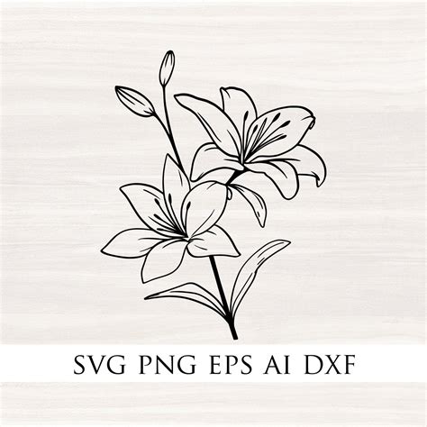 Lilies SVG