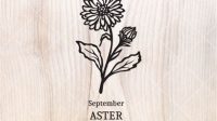 Aster SVG