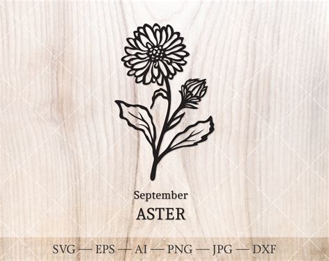 Aster SVG