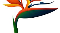 Bird Of Paradise SVG