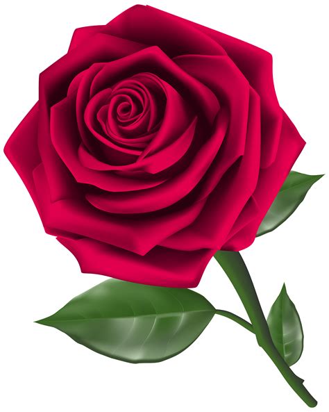 3d Rose SVG