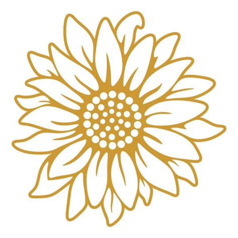 Free Sunflower ‪SVG File