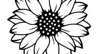 Free Sunflower Silhouette