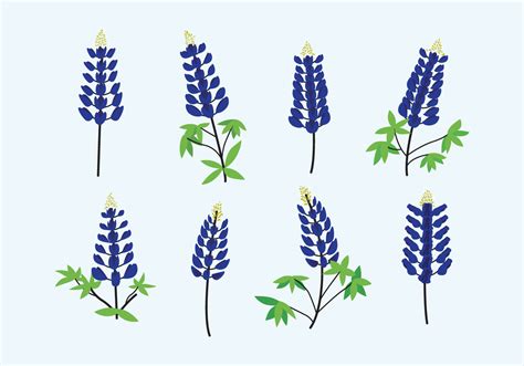 Bluebonnet SVG Free