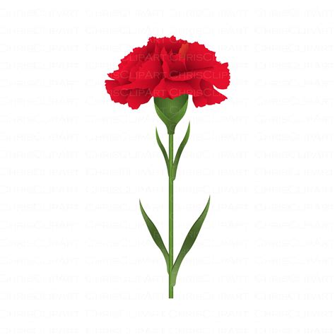 Carnation SVG Free