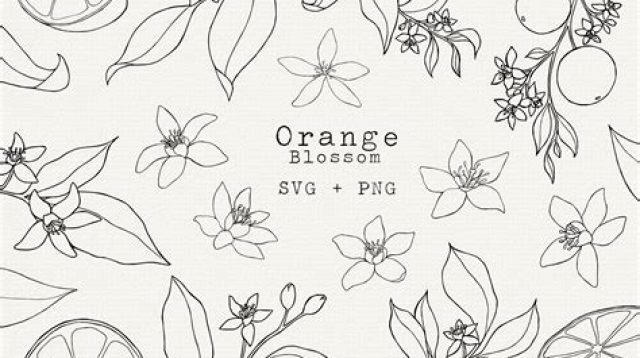 Orange Blossom SVG