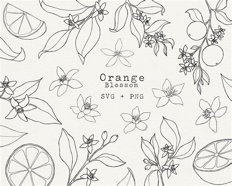 Orange Blossom SVG