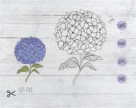 Cricut Hydrangea SVG