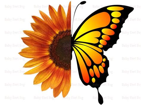 Half Sunflower Half Butterfly SVG