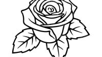 Rose Outline SVG