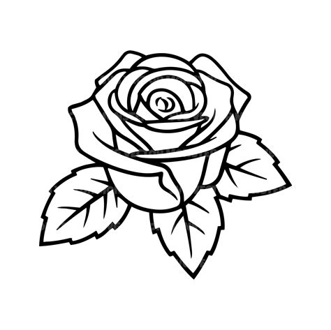 Rose Outline SVG